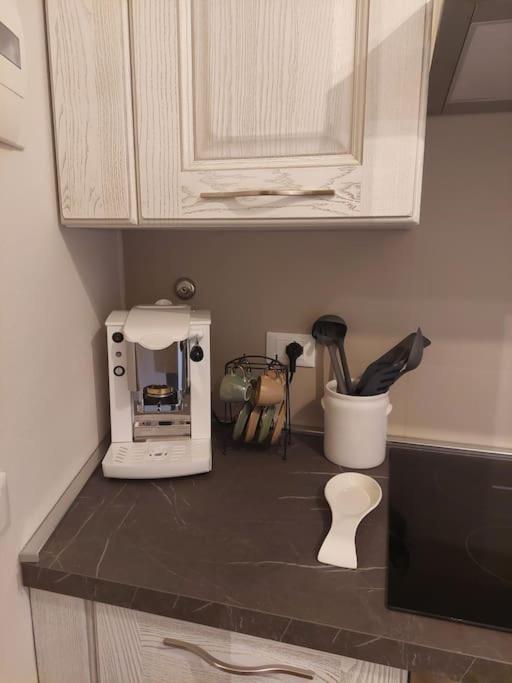 Apartament Il Nido Sull'Arno Figline Valdarno Zewnętrze zdjęcie